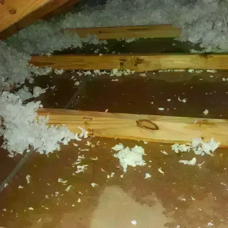 Attic Water Damage in North Rock Springs, WY