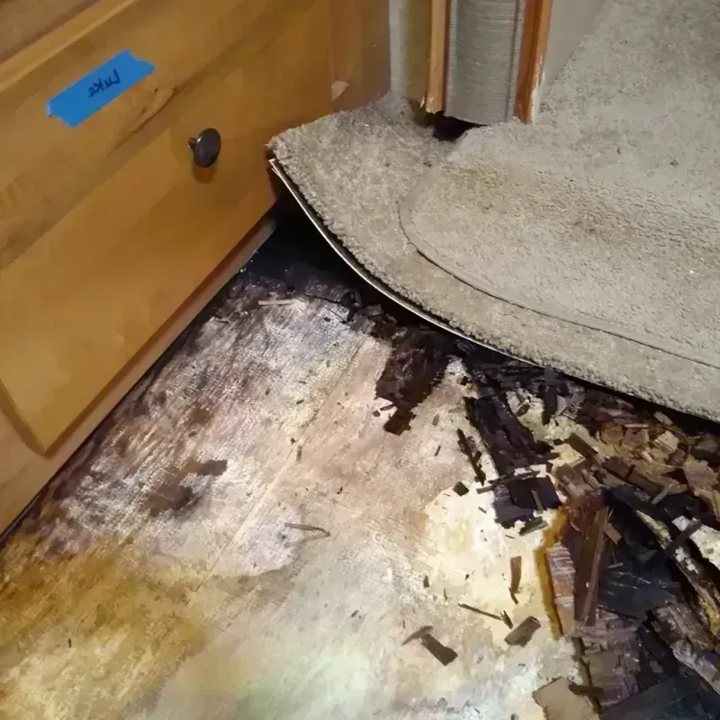 Wood Floor Water Damage in North Rock Springs, WY